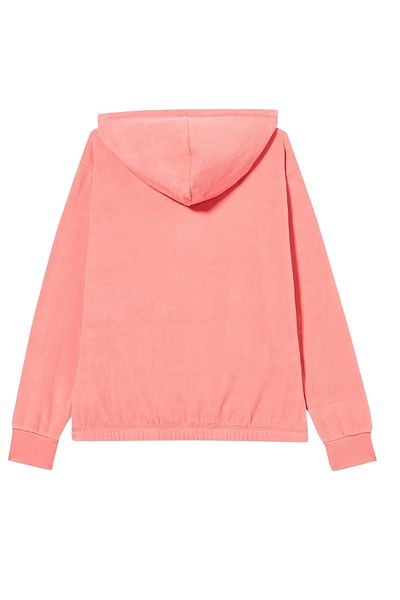 Champion Hoodie Basic Kapuzensweatshirt