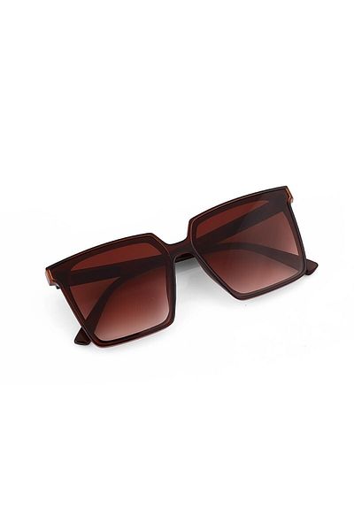 TomyHelf Women's Sunglasses Square Brown Frame Brown Glass with Handle Detail