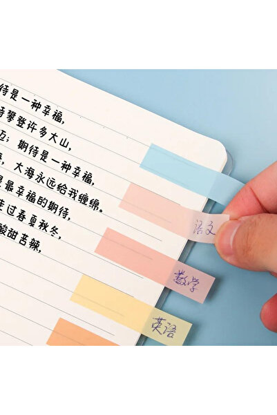 NaSaDAN 10 Renk Vanilya Tonları Cetvelli Şeffaf Postit 200 Yaprak