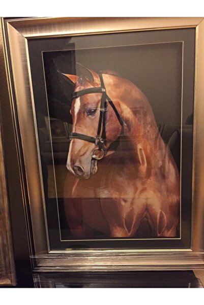 MEST Kağıt Rölyef Tablo