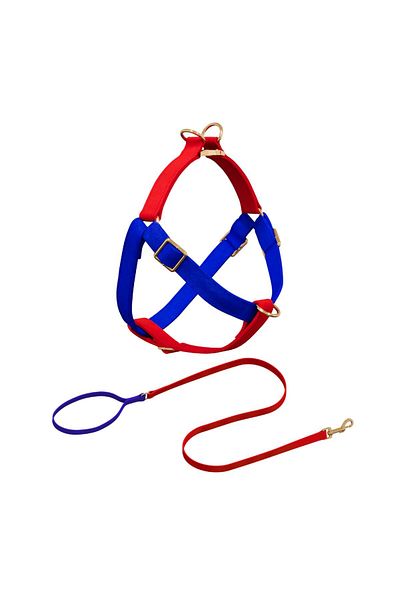 GoPawGo Charmed Sirius Dog Chest Collar Set