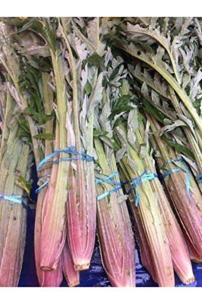 Doğadan Taze Enginar Yaprağı 1 Bağ(2 KÖK)