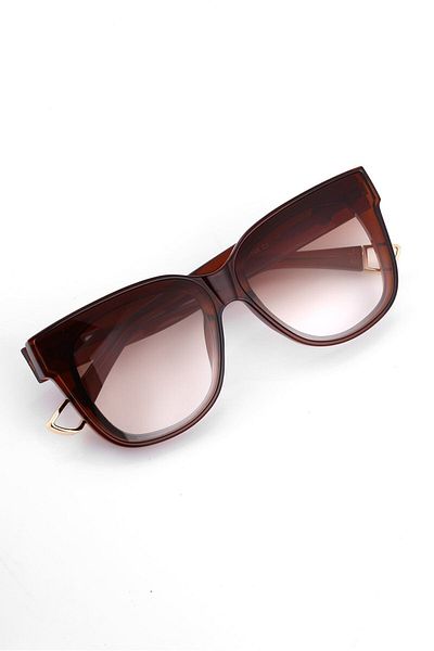 Angel Eyes Ae2013c3b4494 Light Brown Framed Gradient Unisex Sunglasses