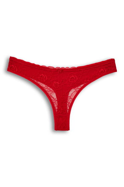 HNX 2'li Önü Dantel Arkası Çift Kat Pamuklu Tanga Kadın Külot