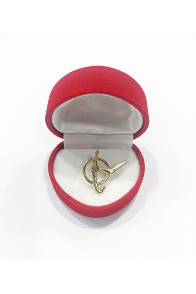 Havacı Uçuş Dünyası Boeing Logo Rozet