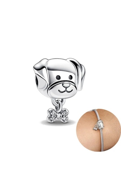 Lux Design 925 Ayar Gümüş Köpek Ve Kemik Charm