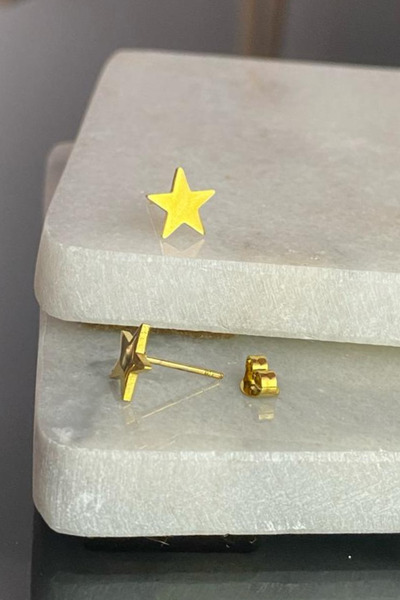 Jaida Moda Women's Gold Star Model Steel Stud Earrings