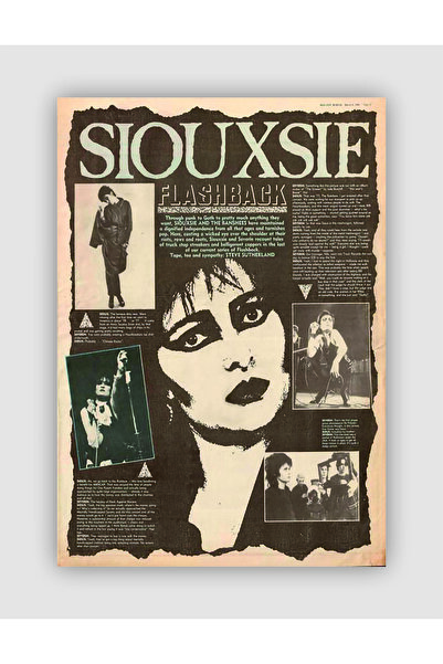 fırsatlar diyarı Siouxsie Flashback Punk Rock Metal Duvar Posteri - Kalın Kağ...