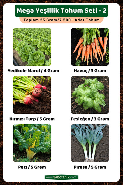 3A BOTANİK Mega Yeşillik Tohum Seti - 2, Toplam 25 Gram/7.500 Adet Yeşillik T...