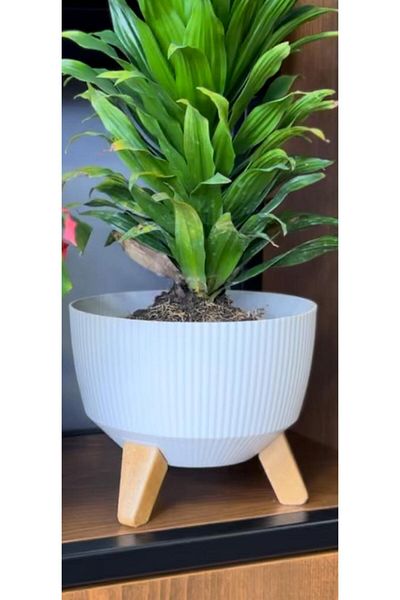 LeesHome أصيص زهور الأوركيد الأبيض سعة 9 لتر - قائم، 29x23 سم