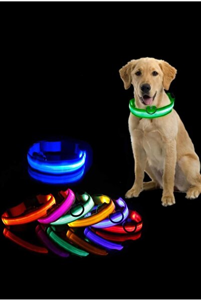 Dalian Home Led Işıklı Fonksiyonlu Boyun Tasması, Ayarlabilir Led Boyun Tasması Siyah S Beden