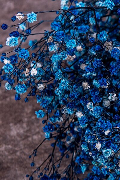 YAPAY ÇİÇEKÇİNİZ Şoklanmış Cipso Demeti Koyu Mavi