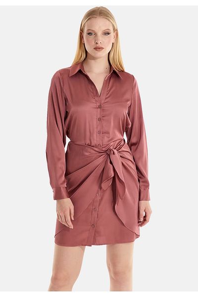 Guess Kleider Langärmliges Hemdkleid Alya mit durchgehender Knopfleiste in glänzender Optik