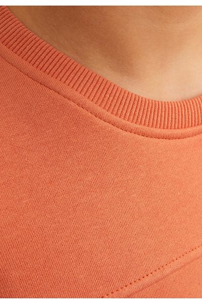 Jack & Jones Junior Sweatshirt Lakewood Pullover ohne Kapuze
