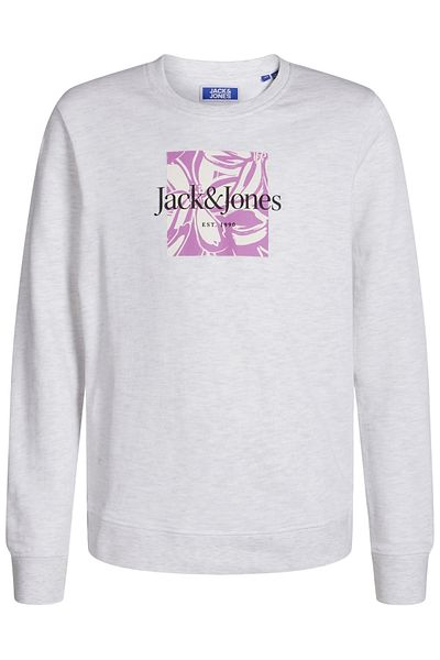 Jack & Jones Junior Sweatshirt Lafayette Pullover ohne Kapuze