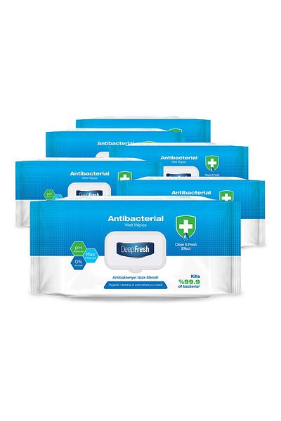 Deep Fresh Antibacterial Wet Wipes 6 x 100 Sheets