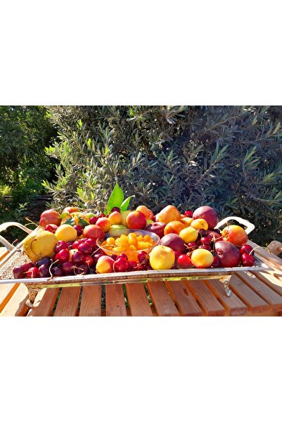 snmgıda Portakal Reçeli 700 gram El Yapımı Portakal Reçeli %100 Doğal,katkısız. Yeni Sezon