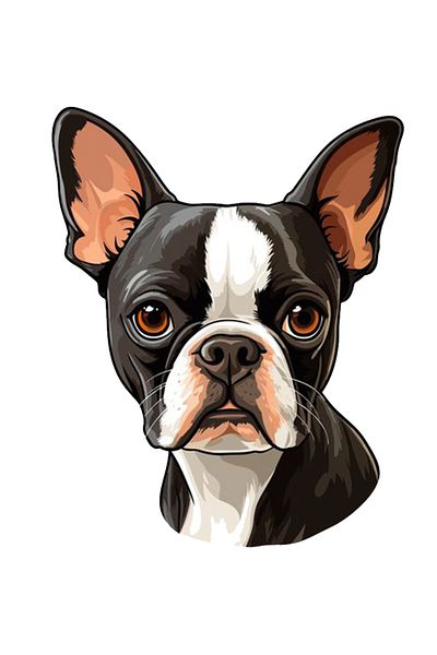MegaSticker Autocolant Bulldog francez alb negru pentru mașină, motocicletă, cască, laptop, parbriz 13x10 cm