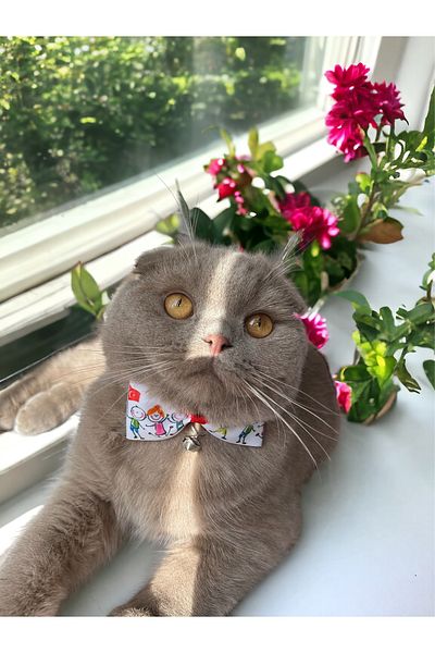 Melo April 23 Kids Cat and small breed dog collar with Turkish Flag pattern