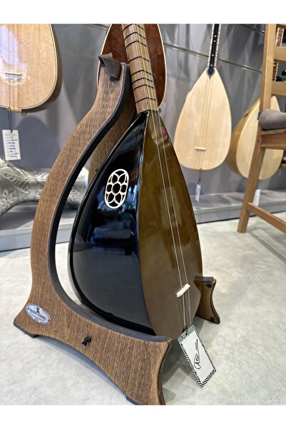 ASE MÜZİK KOMPOZİT ÖĞRENCİ BAĞLAMASI / KISA SAP