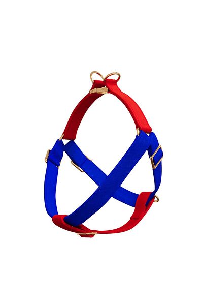 GoPawGo Charmed Sirius Dog Collar