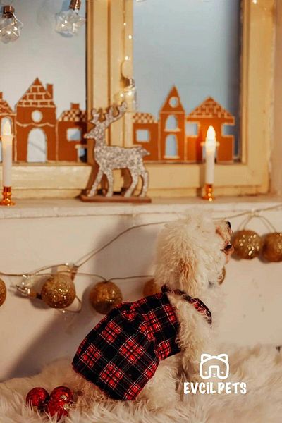 HKEVCİLPET Red plaid cat dog suit dress