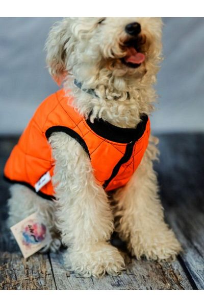 HKEVCİLPET Dog Jacket Raincoat Coat Windproof