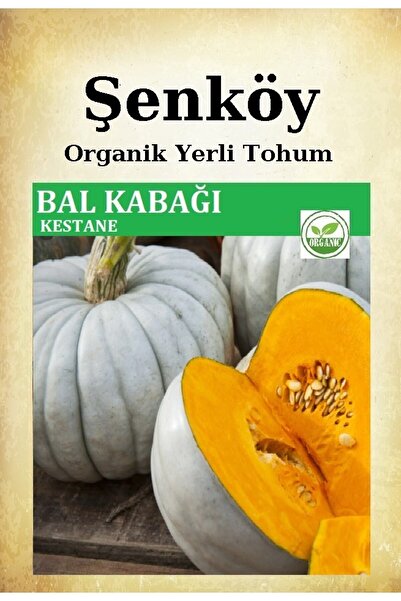 Şenköy Yerli Kestane Balkabağı Tohumu Doğal Bal Kabak Ata Tohum Pakette 10 gr