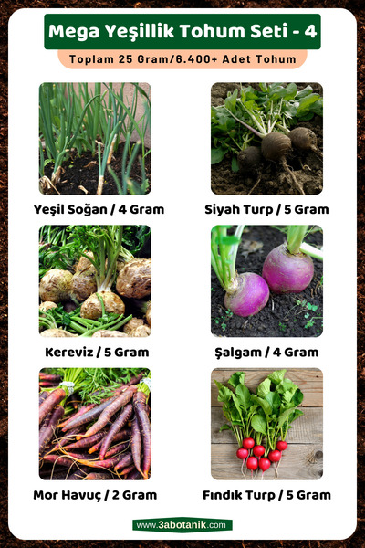 Mega Foliage Seed Set - 4, Total 25 Grams/6,400 Foliage Seeds