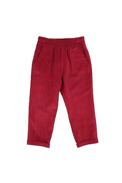 best kids Boy's Red Velvet Trousers