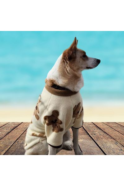 GedyCo Bear Premium Plush Medium Breed Dog Sweatshirt (Suitable for dogs from 8 kg to 20 kg)