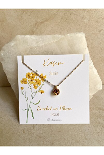 Nour Co Kasım Doğum Ayı Harfli Kolye