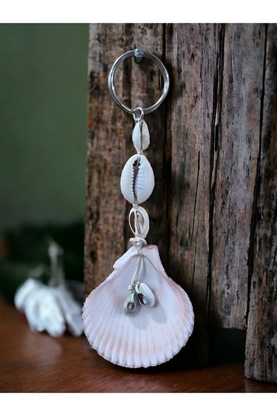 erdoğan hobi Sea Shell Ornament Accessory Ornament Sea Shell Bag Ornament Car Ornament Keychain Gift Model1