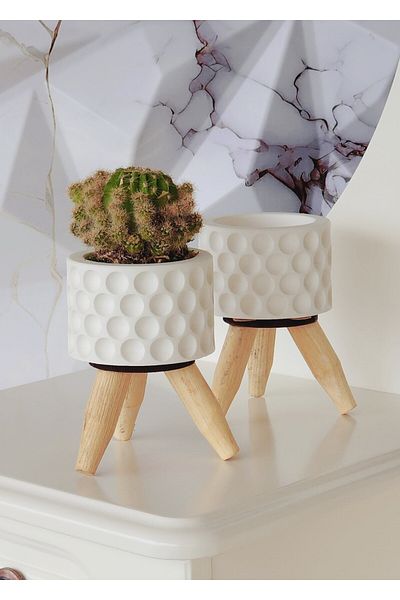 SERENGETİ HOME White Concrete Mini Vase - Set of Two with Wooden Legs, Cactus and Succulent