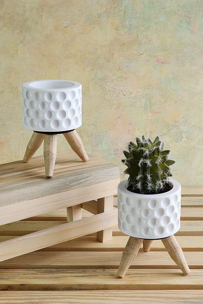 SERENGETİ HOME White Concrete Mini Vase - Set of Two with Wooden Legs, Cactus and Succulent