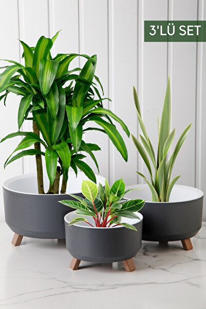 Nandy Home Tripot Model 3'lü Saksı Seti