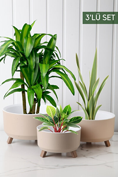 Nandy Home 20-25 cm Tripot Model 3'lü Saksı Seti 15-20 cm Plastik 3 Yuvarlak Modern Bej