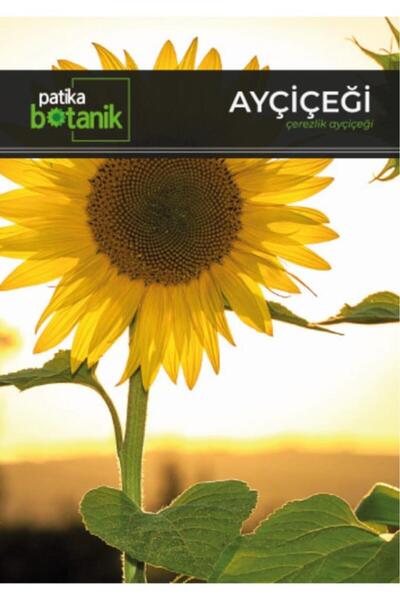 Patika Botanik 75 Adet Çerezlik Ayçiçeği Tohumu