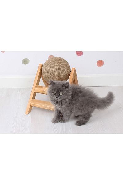Femusa Cat Scratching Toy