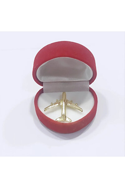 Havacı Uçuş Dünyası Uçak , Motorlu Rozet