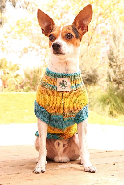 El Örmesi Renkli Köpek Kazak-kedi Kazak