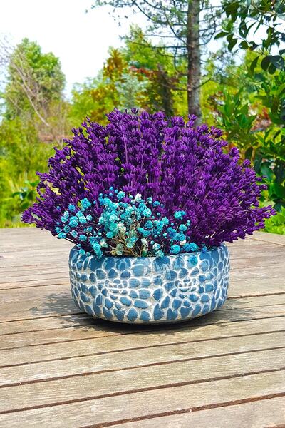 çiçekseli Gül Saksıda Lavanta Ve Cipso & Hediye Lavanta Tasarımı & Dekoratif ...