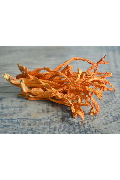 Otantik Tatlar Cordyceps Mantarı (Kordisep Mantarı)