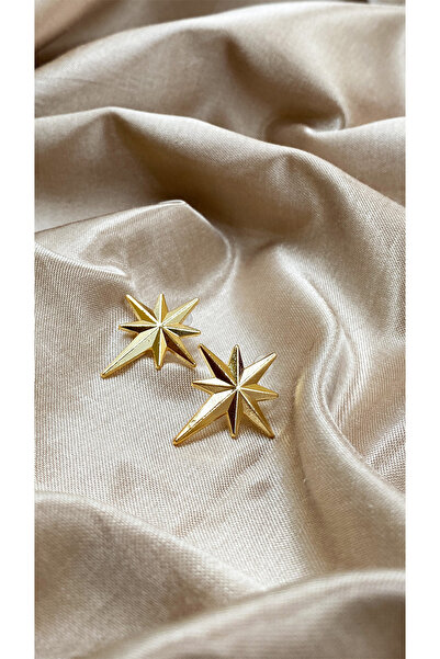 Eylülün Takısı Altın Renk Kuzey Yıldızı Küpe