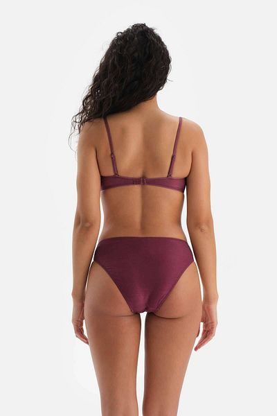 Dagi Weinrotes Ecru-Bikiniunterteil mit hoher Taille