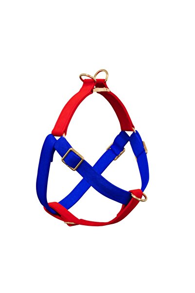 GoPawGo Charmlı Sirius Köpek Göğüs Tasma Seti