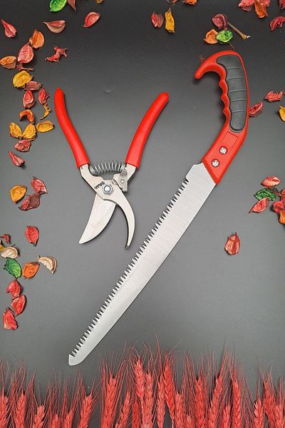 Mrsstore Mrs Store Vineyard Pruning Shears Pruning Tree Saw Set of 2