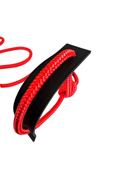 PETSWUU Dog Walking Strap