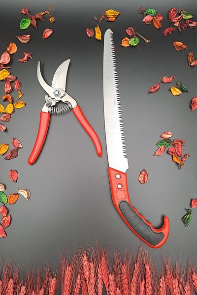 Mrsstore Mrs Store Vineyard Pruning Shears Pruning Tree Saw Set of 2