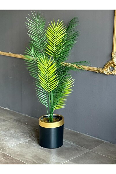 ledison Gold Saksılı Orta Boy 130 Cm Areka Ağaç Kg-1140